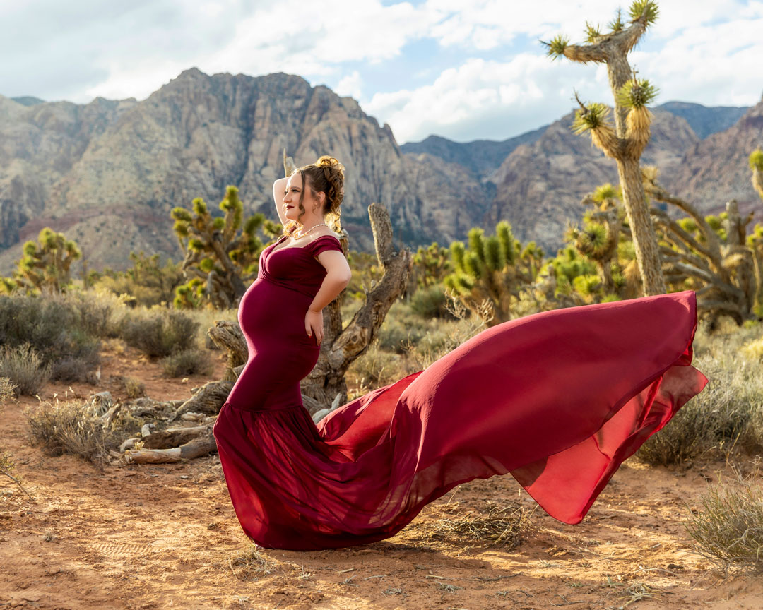 https://feliciasaundersphotography.com/wp-content/uploads/2024/01/Maternity-Photographer-Newborn-Photographer-Boudoir-Photographer-Las-Vegas-Henderson-Family-Portrait-12.jpg